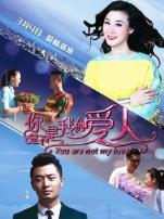 你是不是我的爱人无障碍版