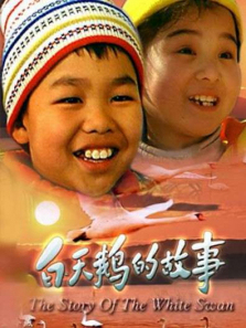 白天鹅的故事