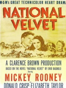 玉女神驹译制配音版