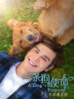 一条狗的使命