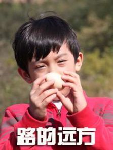 路的远方微电影