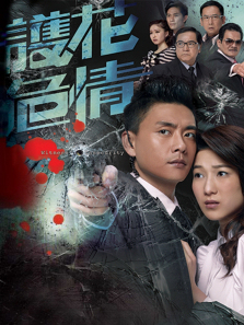 护花危情普通话版