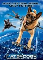 猫狗大战珍珠猫复仇