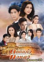 迷失的七里香国语