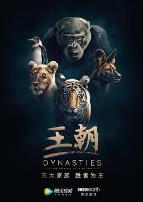 王朝第一季英文版