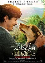 一条狗的回家路（国语版）