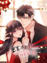 重生相逢:给你我的独家宠溺第二季