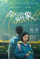 会考试的猛犸象