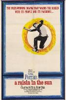 阳光下的葡萄干