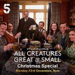 万物生灵:2024圣诞特别集