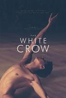 白乌鸦2018