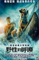 野性的呼唤2020