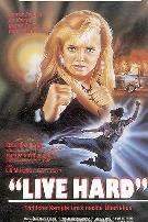 铁胆雄风（国语版）