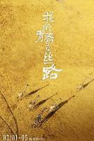 我的青春在丝路