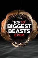 十大巨兽排行榜