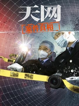 天网：案件真相
