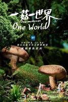 一菇一世界