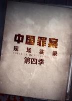 罪案现场实录第四季