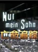 亡命追踪（国语版）