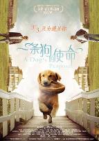 一条狗的使命(原声版)