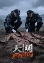 天网：旧案寻凶
