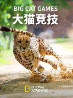 大猫竞技