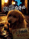 狗狗奇遇记