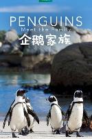 企鹅家族