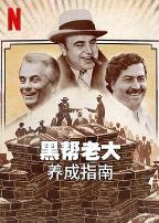 黑帮老大养成指南