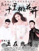 范先生的十里桃花开