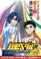 飙速宅男第五季