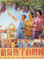 葡萄熟了的时候